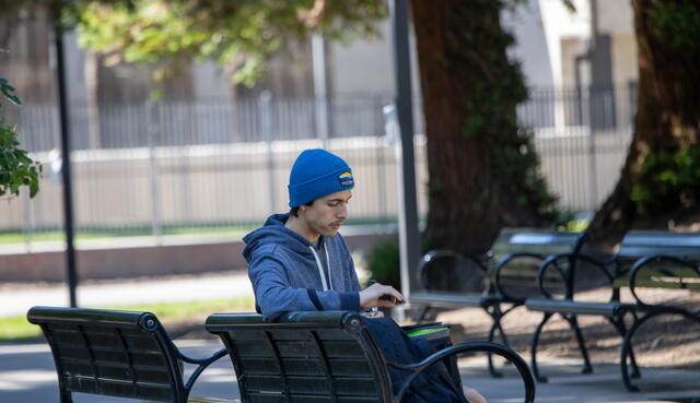 Photo of a student studying for their final exam.