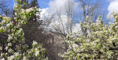 A statement from San Joaquin Delta College trustees