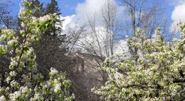 A statement from San Joaquin Delta College trustees