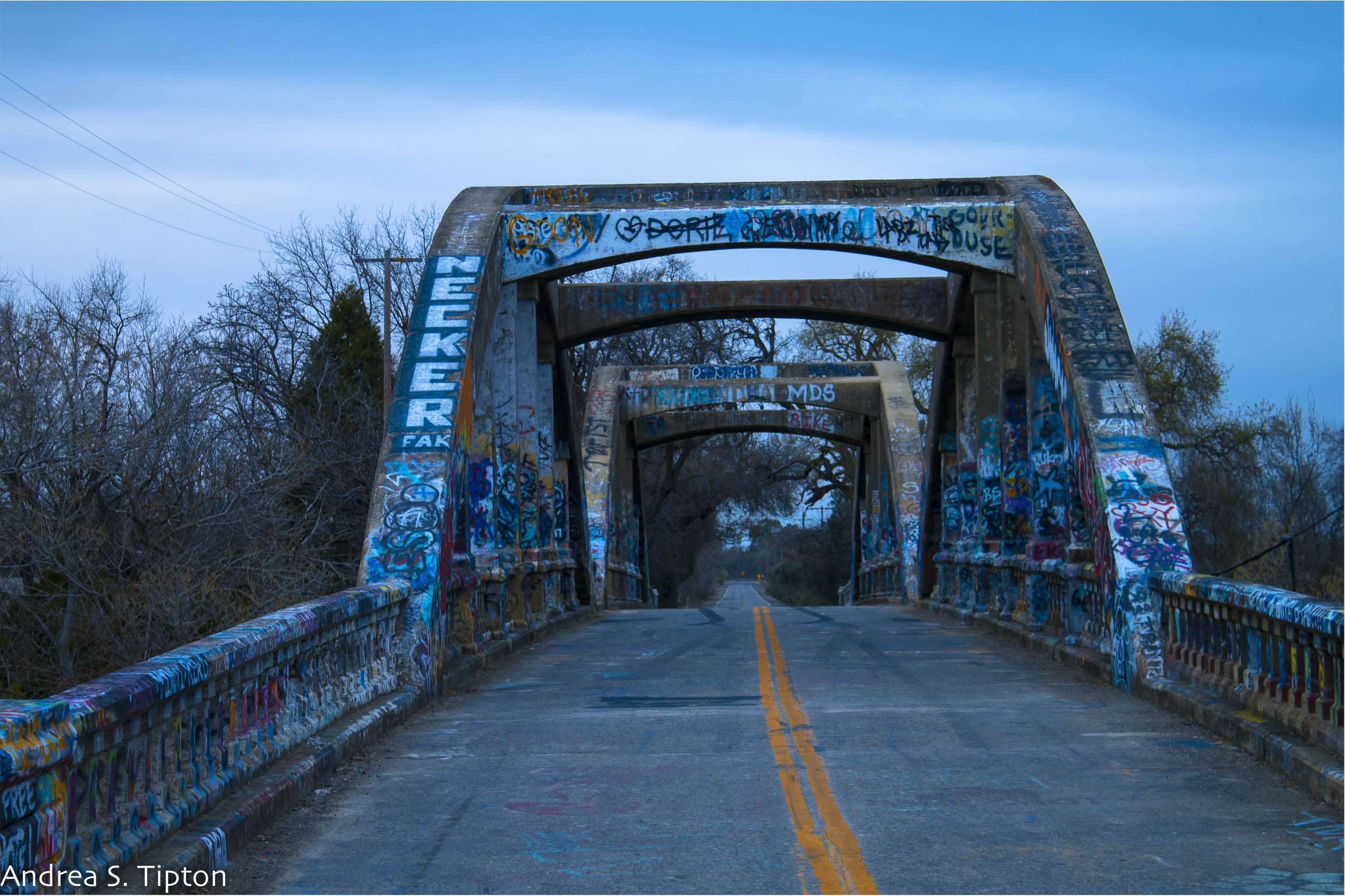 Andrea Tipton - Photography - Stevenson Graffiti Bridge