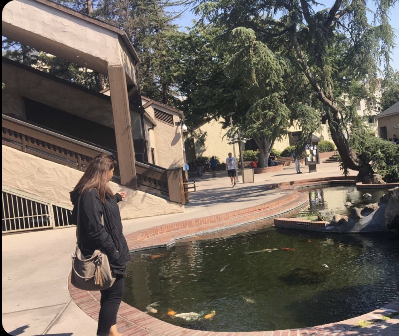 Standing by the koi pond